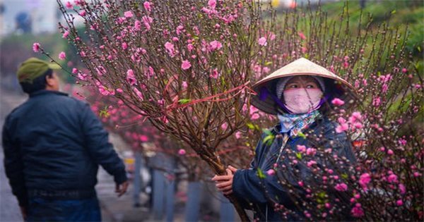 Không khí lạnh tăng cường liên tục, Bắc Bộ rét đậm trong dịp Tết