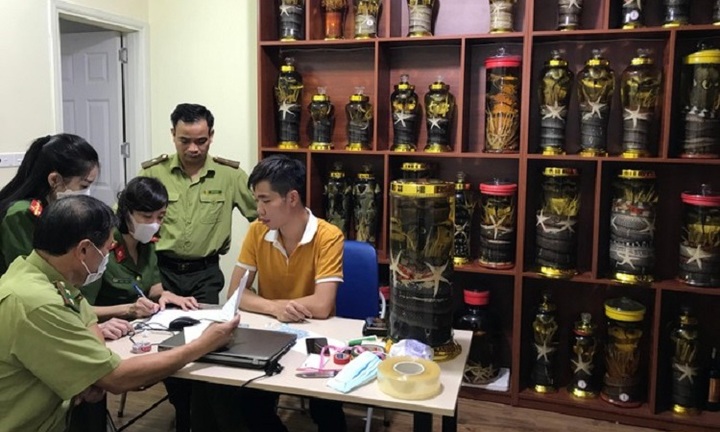 Liên tục phát hiện kho rượu không rõ nguồn gốc ngâm hổ mang, bọ cạp, động vật hoang dã