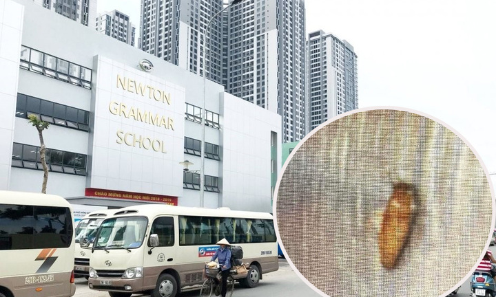 Vụ suất ăn tại trường Newton nghi có gián: Cho nghỉ việc nhân viên, phạt ca trực 10 triệu đồng