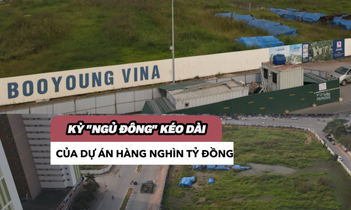 Dự án Booyoung Vina
