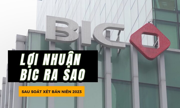 Lợi nhuận BIC ra sao sau soát xét bán niên 2023?