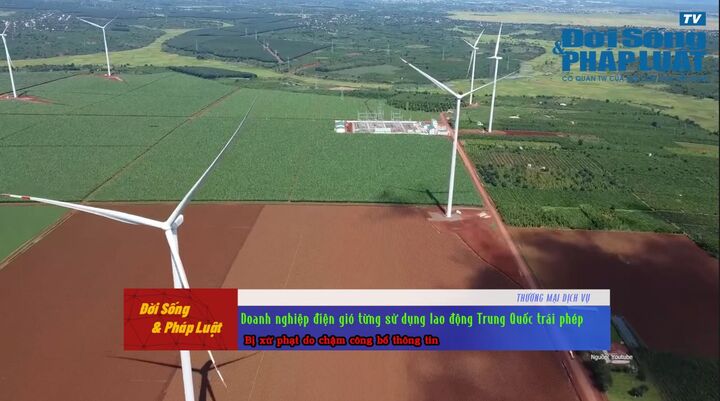 Doanh nghiệp điện gió từng sử dụng lao động Trung Quốc trái phép bị xử phạt