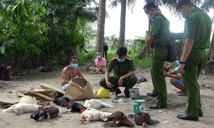 Tiền Giang: Khởi tố 3 đối tượng tổ chức đánh bạc giữa lúc giãn cách xã hội