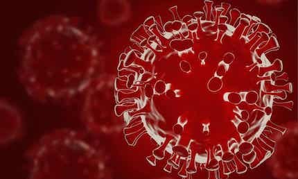 Delta có phải biến thể 