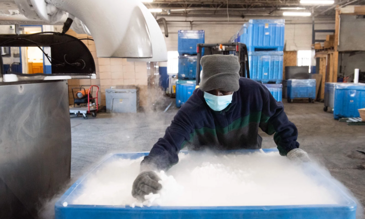 Làm thế nào để bảo quản vaccine ngừa COVID-19 trong quá trình phân phối đi các nước khác?