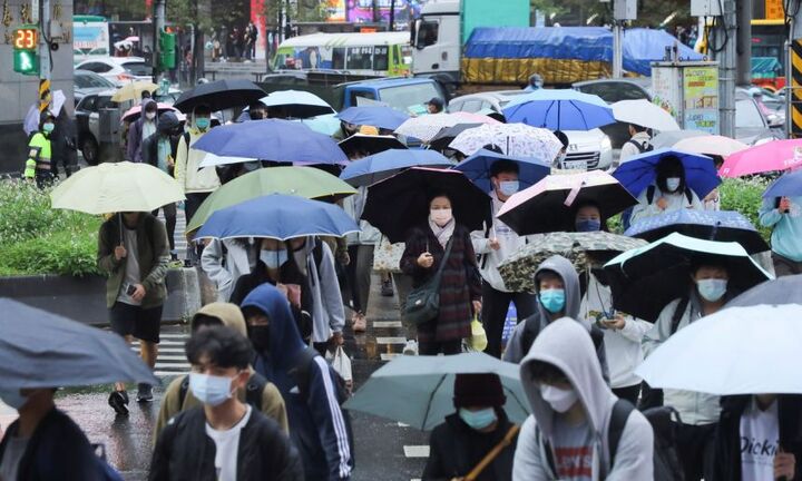 Đài Loan: Điều tra nghi vấn ca mắc COVID-19 sau khi bị chuột cắn