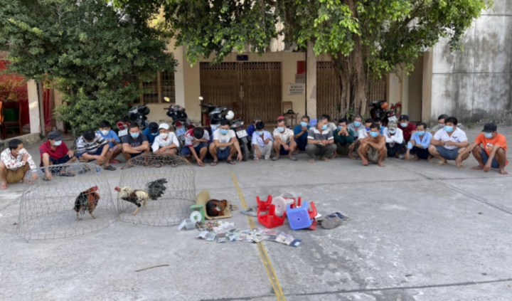 An Giang: Triệt phá điểm cá độ đá gà dịp Tết