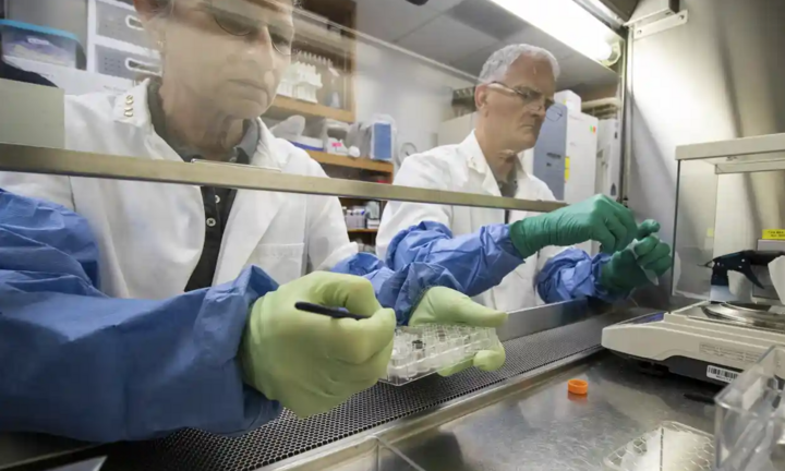 Các nhà khoa học lần đầu tiên trồng cây thành công trên mẫu đất lấy từ Mặt trăng