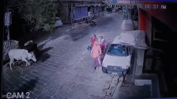 Video: Hoảng hốt khoảnh khắc cây xanh bật gốc đột ngột, đè trúng nhiều người đi đường ở Ấn Độ 