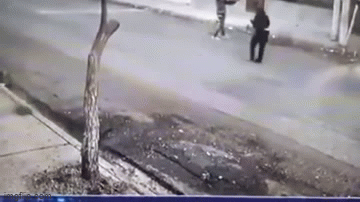 Video: Phát hiện người phụ nữ bị trộm uy hiếp, 2 chú chó lao tới cứu nguy