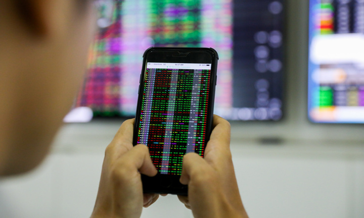 Cổ phiếu giảm hết biên độ sau tin thanh tra toàn diện, DIG nói gì?