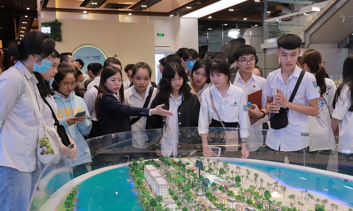 Chuyên ngành Kinh doanh bất động sản tại Nova College hội tụ nhiều ưu thế