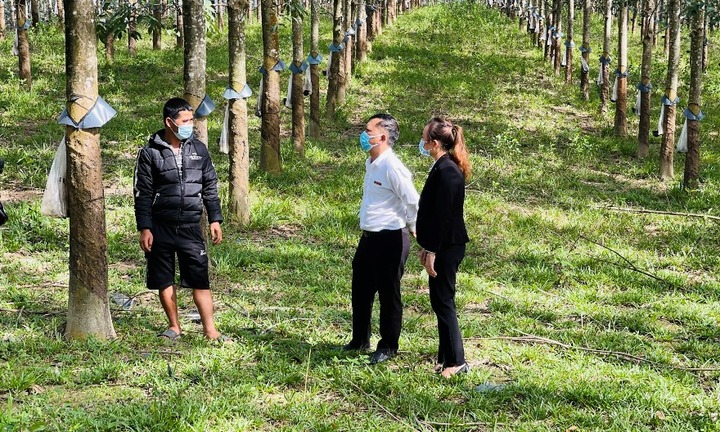 Agribank Kon Tum đồng hành cùng bà con dân tộc thiểu số phát triển kinh tế