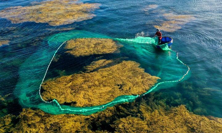 Bán đảo Hải Giang - Quy Nhơn: Một ngày đến, những ngày yêu…