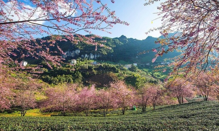 Đến Sapa nhất định phải một lần “chạm” vào tâm hồn nguyên bản của mảnh đất vùng cao