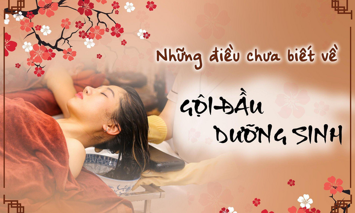 Hiệu quả của gội đầu dưỡng sinh - Địa chỉ gội đầu dưỡng sinh đúng chuẩn