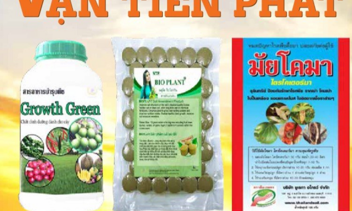 Vững vàng cùng phân bón Vạn Tiến Phát