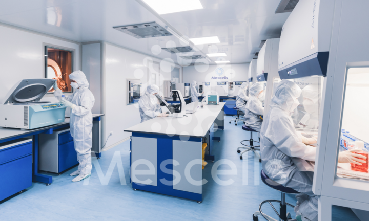 Viện Nghiên Cứu Ứng dụng Tế Bào Mescells và Trường Đại học Y Hà Nội ký kết hợp tác toàn diện