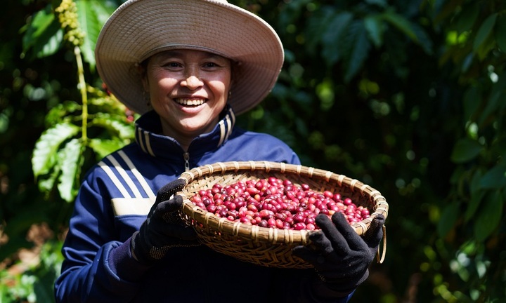 Nestlé tiếp tục được ghi nhận trong bảng Chỉ số Bình đẳng giới Bloomberg 2023