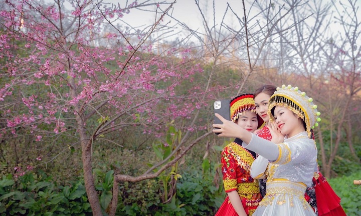 Nô nức trẩy hội khèn hoa, ngắm sắc xuân với muôn hoa bừng nở trên đỉnh Fansipan