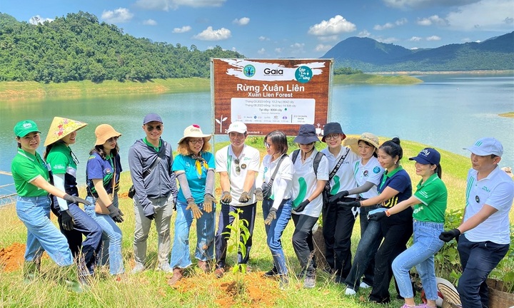 Manulife góp trồng 4.000 cây rừng, tiếp tục hành trình phủ xanh Việt Nam