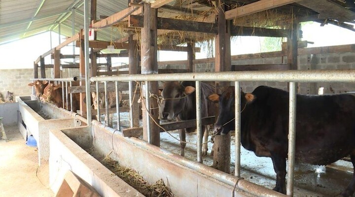 Nhiều chính sách hỗ trợ đồng bào dân tộc thiểu số ở Hà Giang