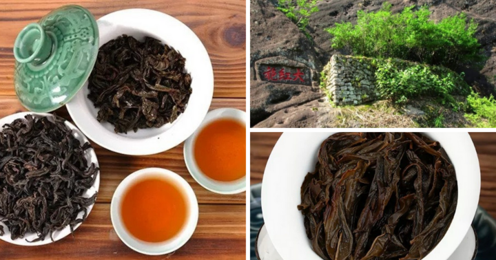Loai trà có giá lên đến 300 tỷ/kg, thuộc hàng hiếm, có tiền chưa chắc đã mua được