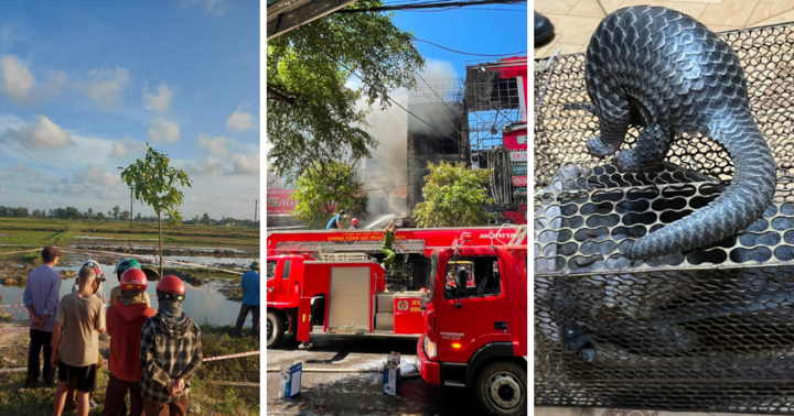 Tin nóng 24h hôm nay ngày 11/11: Đi bắt ốc ở hố công trình, 1 thai phụ tử vong