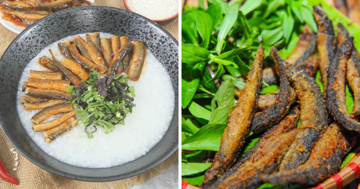 Loài cá được ví như