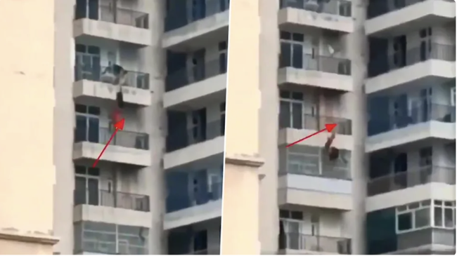 Cãi nhau với chồng, người phụ nữ rơi từ tầng 9 xuống khiến những người chứng kiến lạnh sống lưng