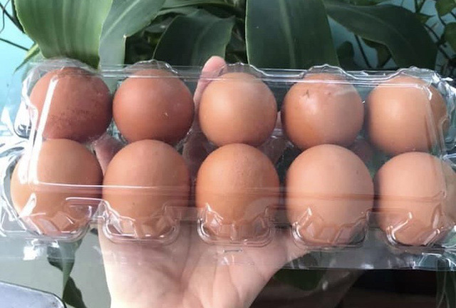 Lý giải việc trứng gà, vịt tăng giá tới 6.000 đồng/quả vẫn cháy hàng