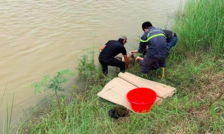 Tìm thấy thi thể 3 giáo viên nghỉ hưu mất tích ở cửa biển Nam Định