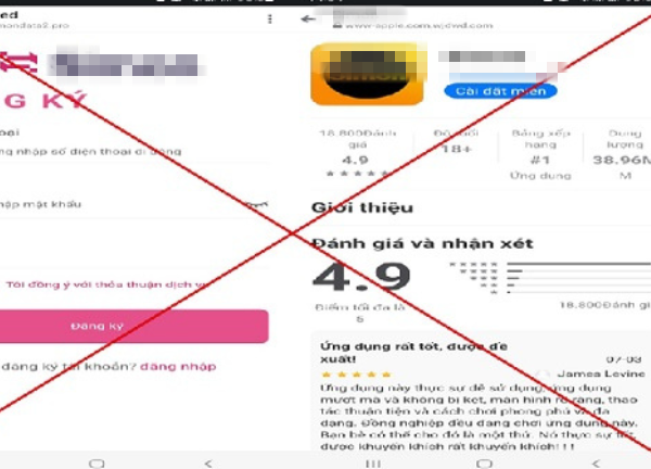 Đồng Tháp: Một phụ nữ 'sập bẫy' ứng dụng việc làm trên mạng xã hội, mất gần 1 tỷ đồng