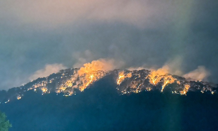 Vụ cháy trên đèo Prenn Đà Lạt: 10 ha rừng thông bị ảnh hưởng 