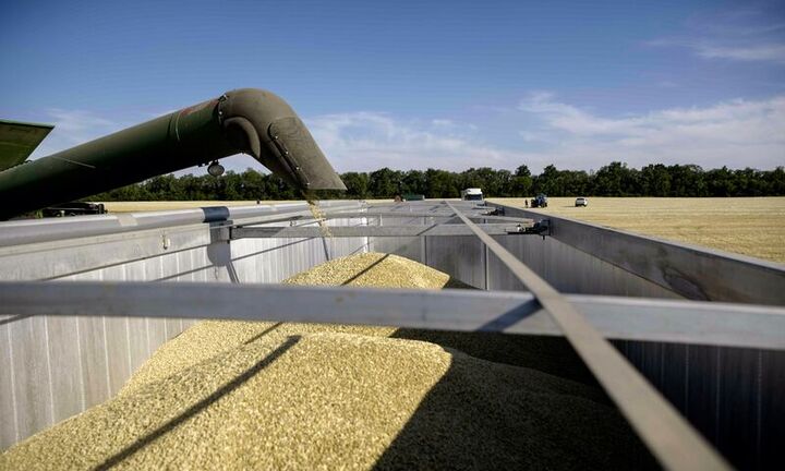 Ủy ban châu Âu chỉ trích việc Ba Lan và Hunggary đơn phương cấm ngũ cốc Ukraine