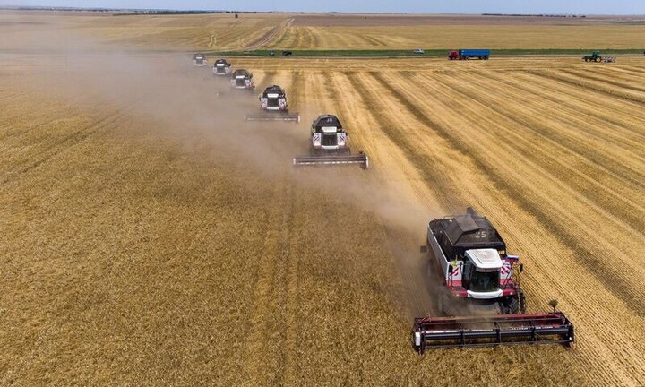 Cảnh báo giá lương thực trên thị trường thế giới tăng cao trở lại 