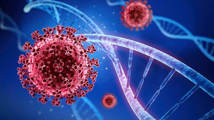 WHO: Không thể xóa sổ virus SARS-CoV-2