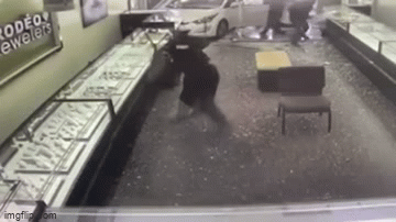 Video: Nhóm cướp lao xe vào cửa hàng trang sức ngay giữa ban ngày