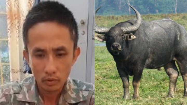 Vụ sát hại bố đẻ ở Bình Định: Hé lộ nguyên nhân