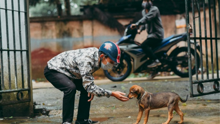 Bắt quả tang 2 đối tượng trộm chó đang trên đường đi tiêu thụ 