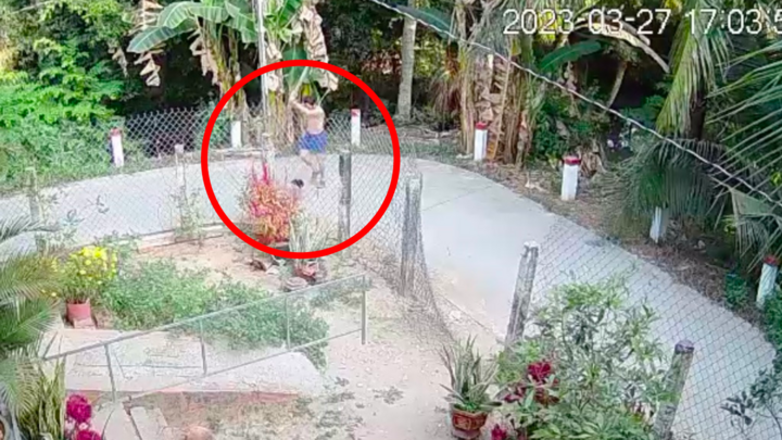 Đánh hàng xóm tử vong vì chuyện nuôi vịt có mùi hôi, người đàn ông lãnh án chung thân