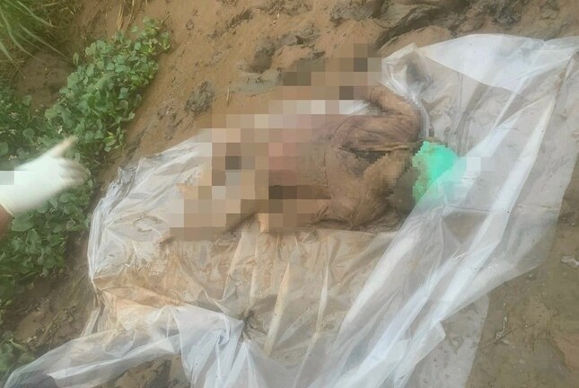 Tin tức pháp luật mới nhất ngày 8/10: Điều tra vụ thi thể nữ giới dưới con rạch, trên đầu còn đội mũ bảo hiểm