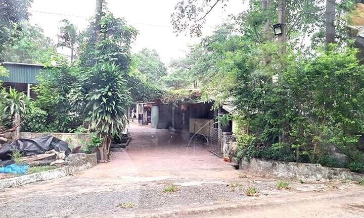 Tin tức pháp luật mới nhất ngày 23/10: Truy bắt đối tượng bắn vợ bạn nhậu rồi bỏ trốn