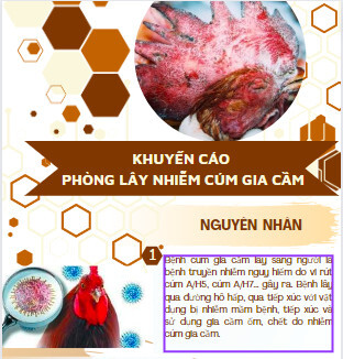 Khuyến cáo phòng lây nhiễm cúm gia cầm
