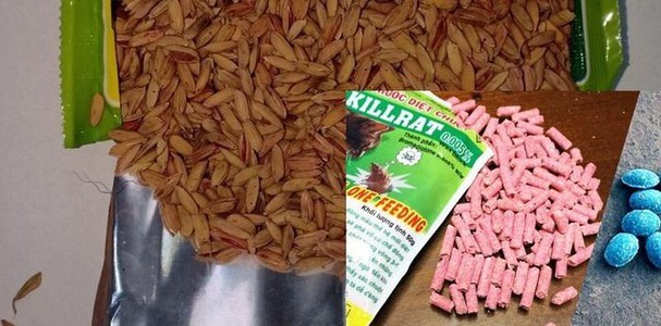 Sức khỏe của 3 chị em nhập viện vì ăn gạo tẩm thuốc diệt chuột, giờ ra sao?