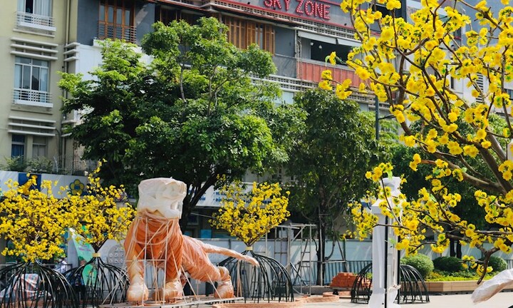 TP.HCM: Người dân chụp ảnh ở đường hoa Nguyễn Huệ, không được tháo khẩu trang 