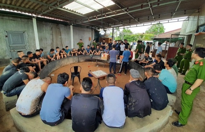 Triệt xoá tụ điểm đánh bạc ở Hải Dương: Các đối tượng tổ chức đá gà ăn tiền thế nào?