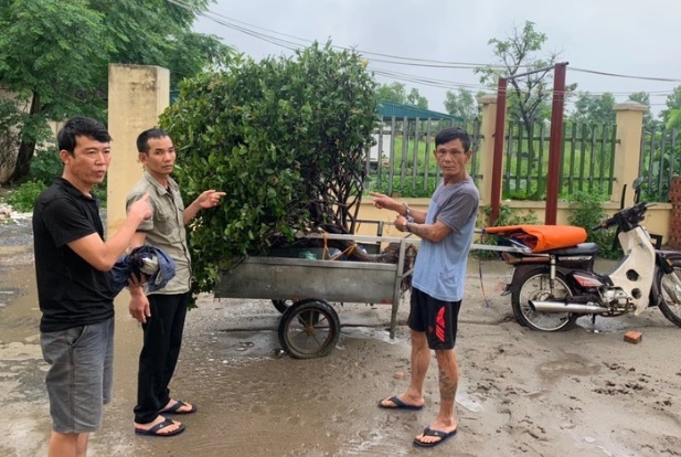 Ổ nhóm chỉ trộm cây cảnh giá 100 triệu đồng trở lên, gây án vào 1-2 giờ sáng 