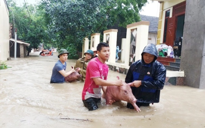 Tin thời sự mới nóng nhất 27/5: Tam Đảo ghi nhận lượng mưa kỷ lục trong vòng 60 năm