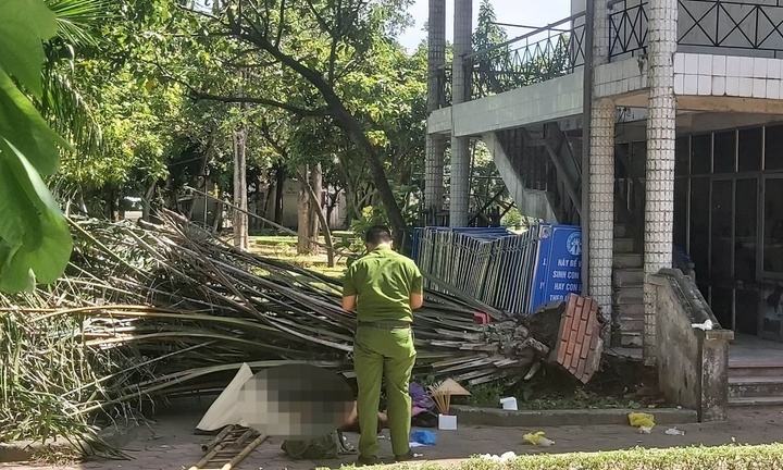 Ngồi trong công viên nghỉ trưa, cụ ông bị cây đè dẫn đến tử vong 